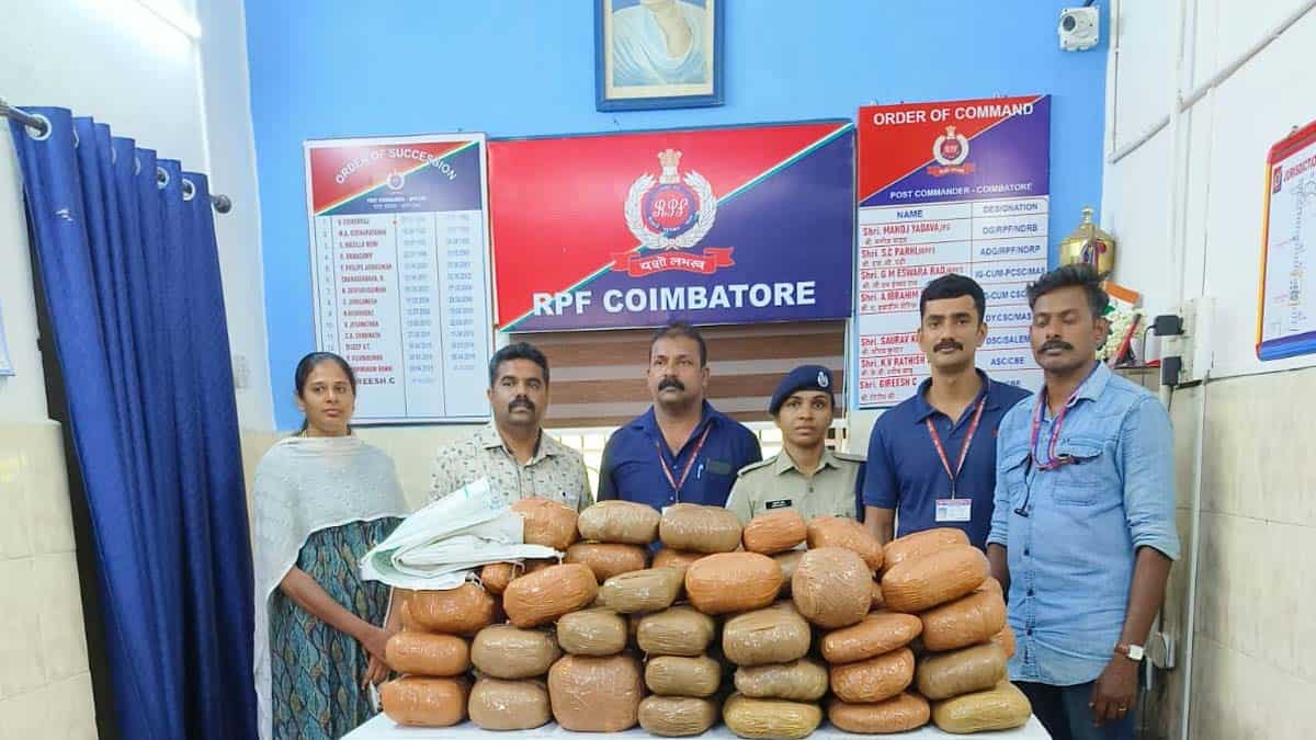 Smuggling of cannabis by train from Odisha.. 21 kg seized